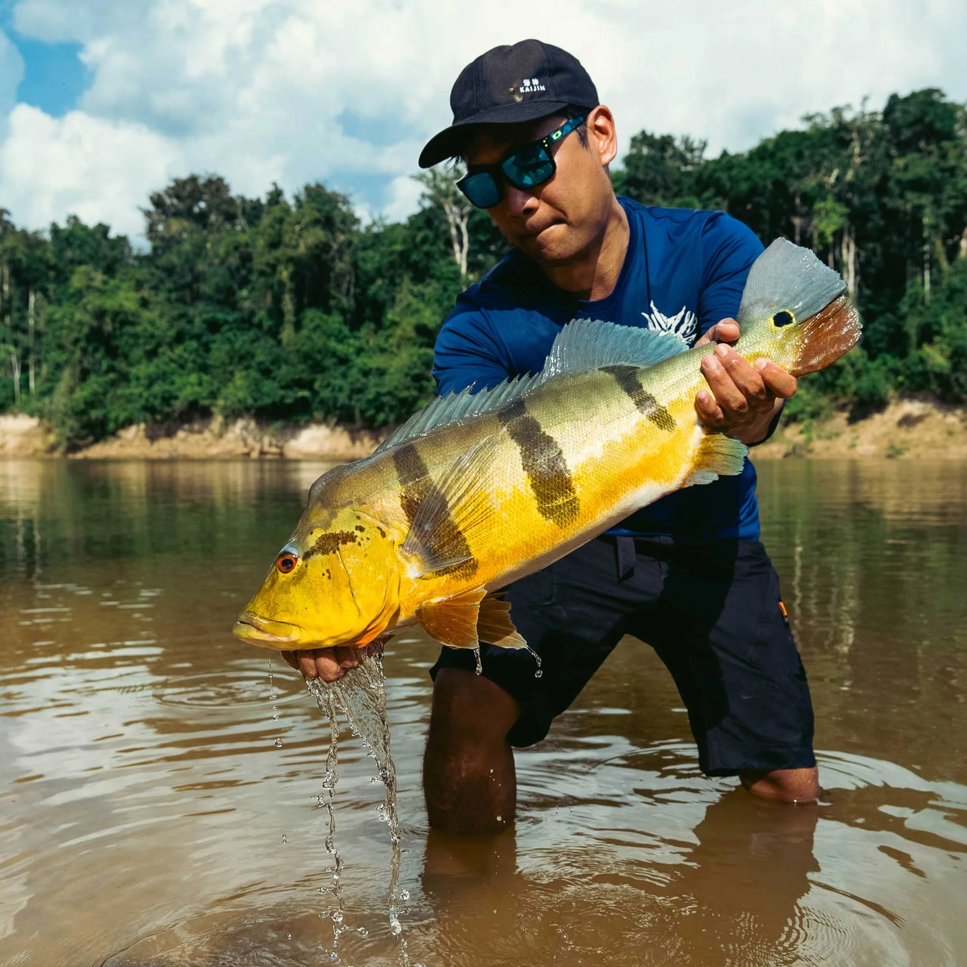 Master the Art of Fly Fishing